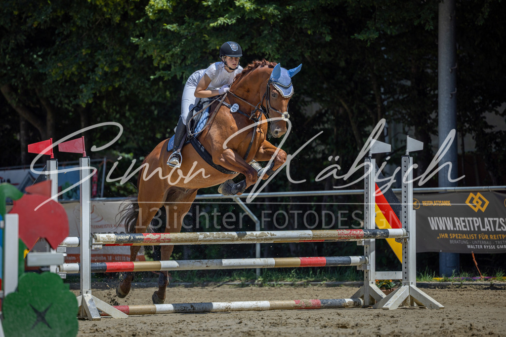 20260704-_3LI8336 | Tierfotografie Pferde, Hunde, Katzen, Haustiere.
Turnierfotografie Reitturniere, Reiten, Springreiten, Dressur in Hanau, dem Main-Kinzig-Kreis und dem Rhein-Main- Gebiet um Frankfurt