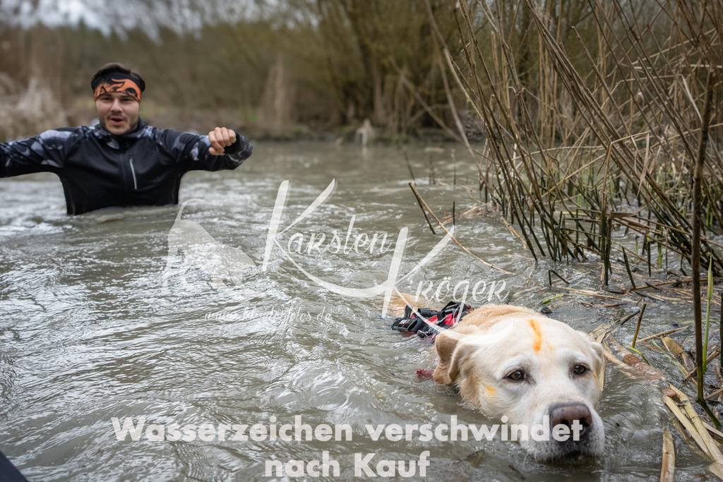 1129_ZZ99555 | kk-dogfotos