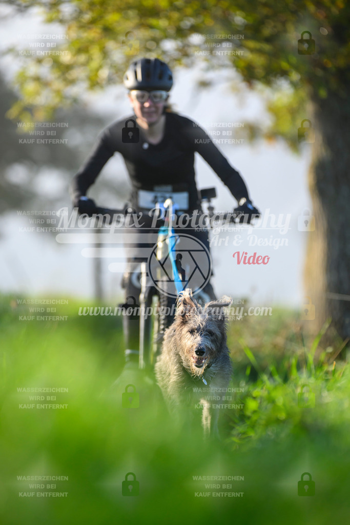 MompixPhotography_20TSB_E3_Bike-181 | PayLife