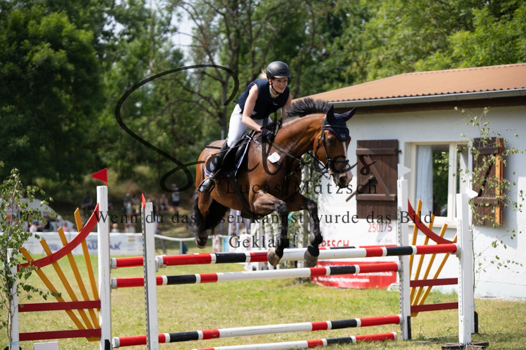 A7V07413 | Pferdefotograf