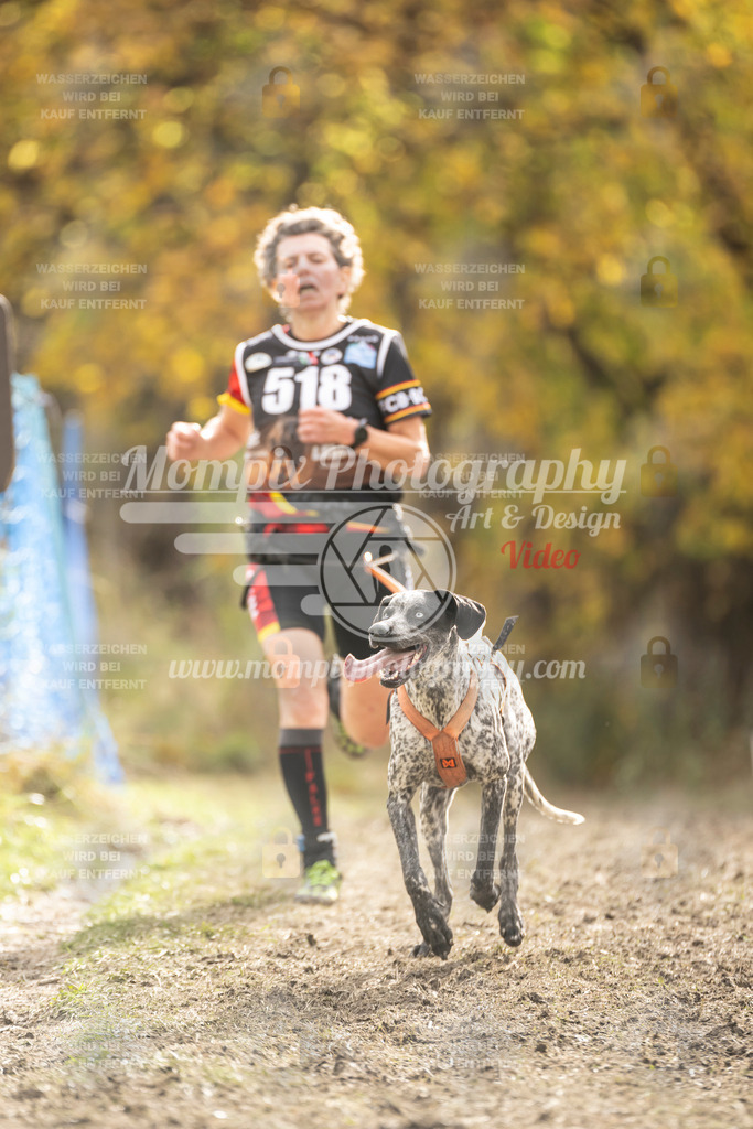 MompixPhotography_ICF_WC_2024_SA_Run_-536 | PayLife