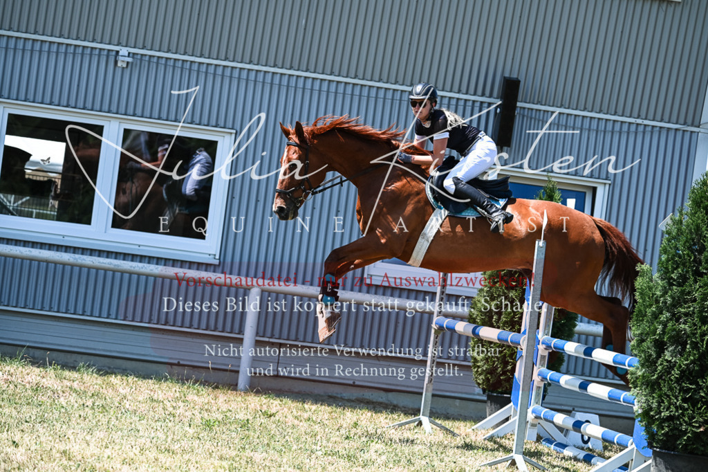 DSC_0486 | Pferde- und Turnierfotografie in Westsachsen. Pferdeportraits, Auftragszeichnungen und intuitive Kunst.