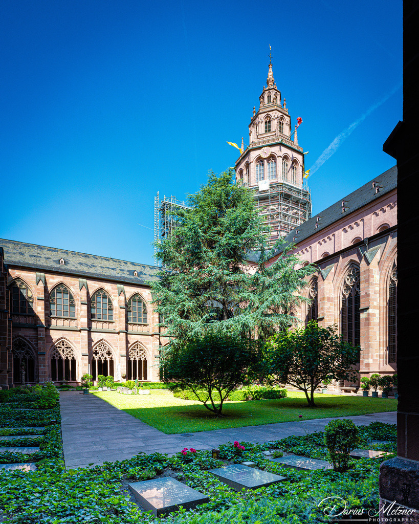 _DSC1531 | Fotografien, Fotos und Bilder aus Mainz, Frankfurt, Wiesbaden und anderen Orten auf der Welt - Fotografiert von Darius Metzner