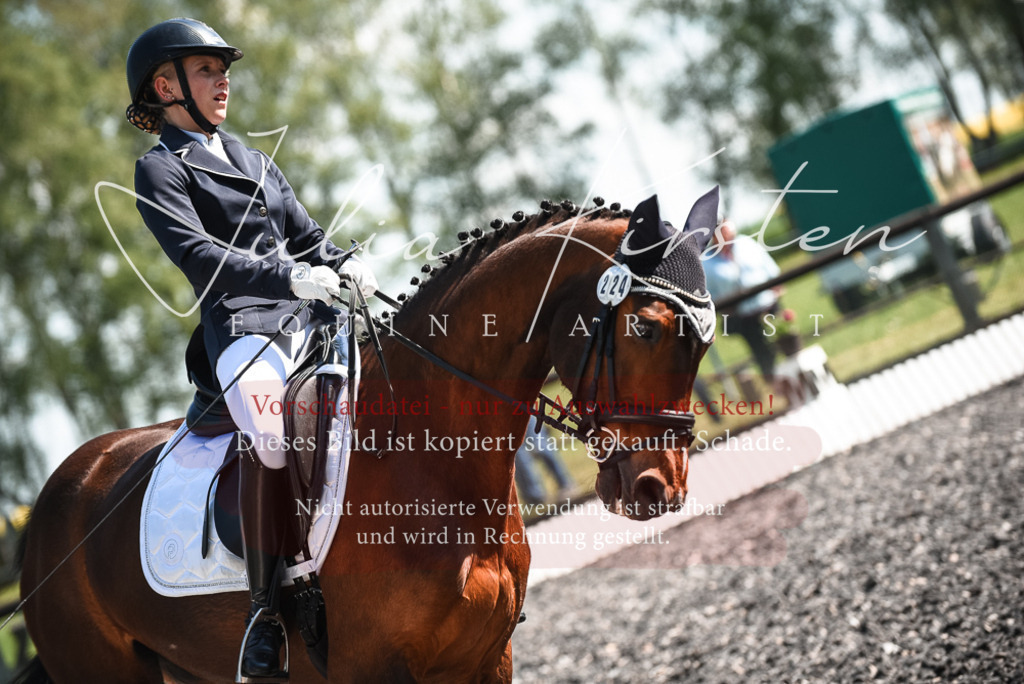 DSC_8889 | Pferde- und Turnierfotografie in Westsachsen. Pferdeportraits, Auftragszeichnungen und intuitive Kunst.