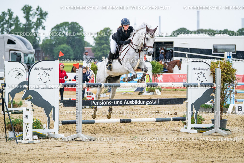 DSC08653 | Pferdegrafie