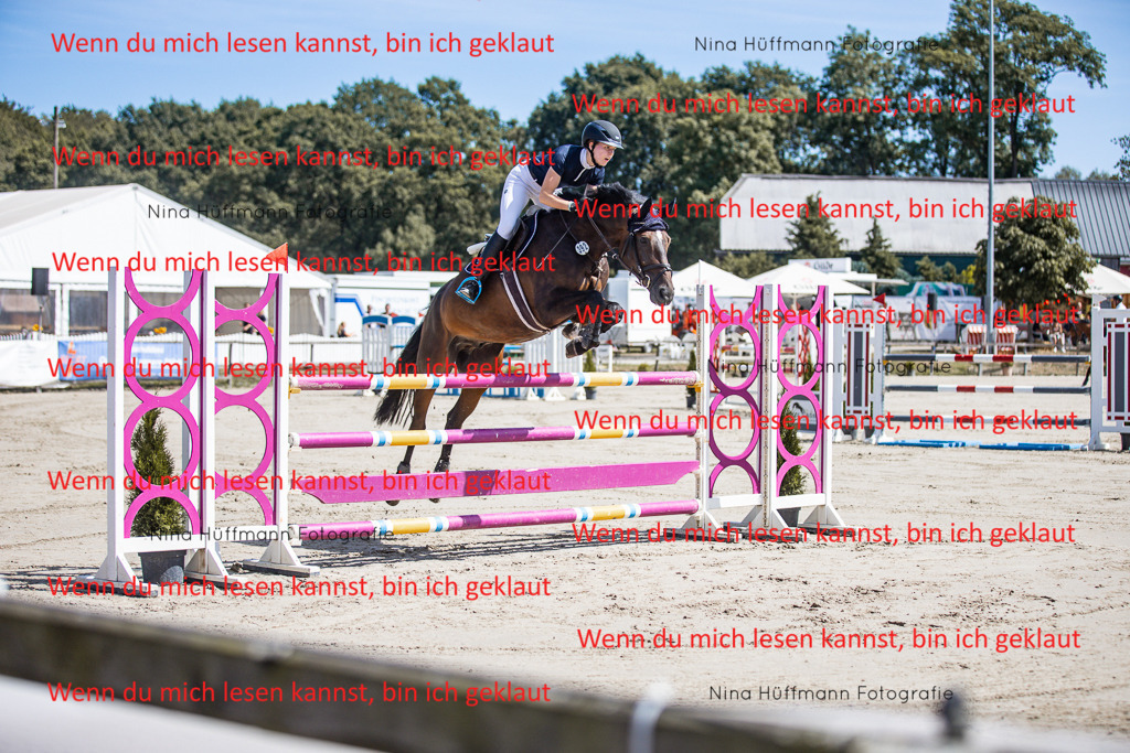 BK1A6564 | Turnierbilder Turnierfotos Nina Hüffmann Turnierfotografie Pferdefotografie Tierzeichnung Haustierzeichnung Pferdezeichnung Hundezeichnung Videograf  - Realisiert mit Pictrs.com