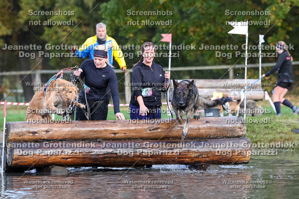 Dog Paparazzi - Strongdog 10-25-6961 | Dog Paparazzi Jeanette Grottendiek Fotografie & Videografie - Realisiert mit Pictrs.com