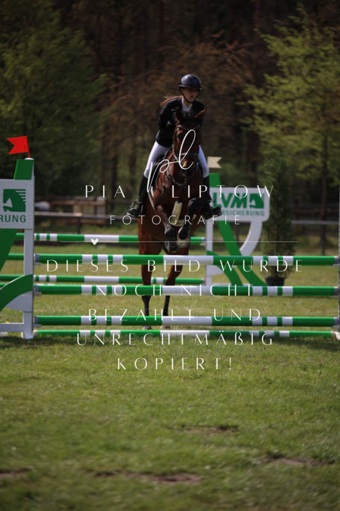 IMGT5436 | pl-fotografie