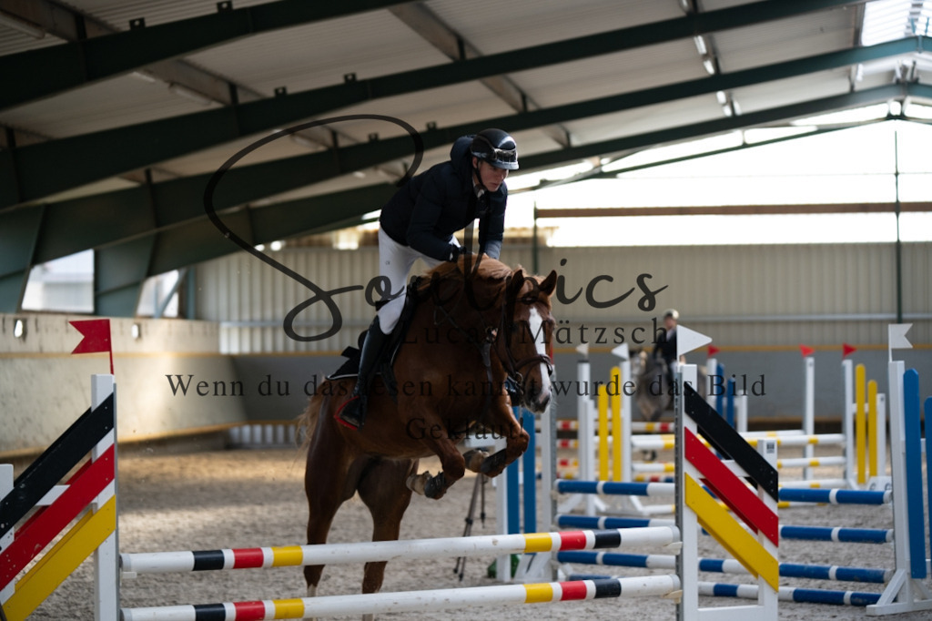 A7V03492 | Pferdefotograf