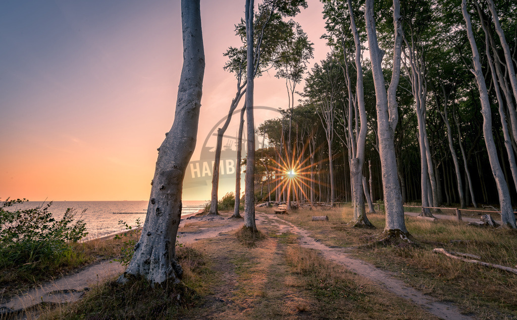 stativkunst-938 | Exklusive Hamburg collagen, tolle Segelbilder und viele weitere tolle Motive auf Leinwand, Poster, Alu-Dibond, u.v.m. findet Ihr bei uns auf hamburgbild.de. Findet Euer Wandbild für Euer Zuhause, Büro oder die  Praxis…. - Realisiert mit Pictrs.com