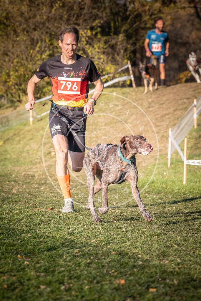CaniXpix_0L8A0245 | Hundefotografie, Tierfotograf, Pfotenfotografie, Fotoshooting Hund, Hunde Portrait, Hundesport, Hundeportraits, Heideshooting, Hunde, Sportfotograf, Hundefotograf, Turnierhundsport, THS,  - Realisiert mit Pictrs.com