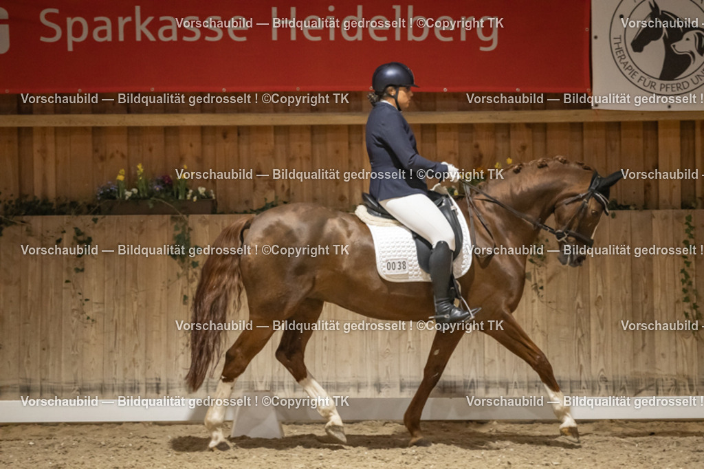 _D5A0753 | Emotionale Pferde- & People-Fotografie rund um Heidelberg, Leimen & Umgebung. Natürliche Fotos von Pferd, Mensch & Familie. Jetzt Termin sichern!