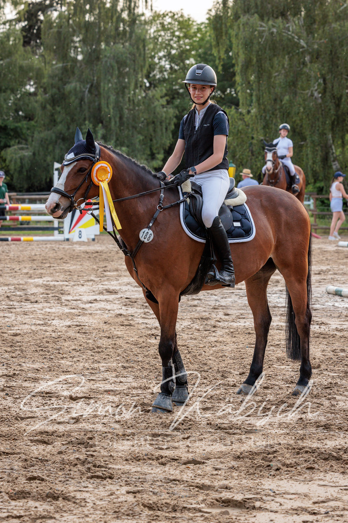 20260529-_3LI2060 | Tierfotografie Pferde, Hunde, Katzen, Haustiere.
Turnierfotografie Reitturniere, Reiten, Springreiten, Dressur in Hanau, dem Main-Kinzig-Kreis und dem Rhein-Main- Gebiet um Frankfurt