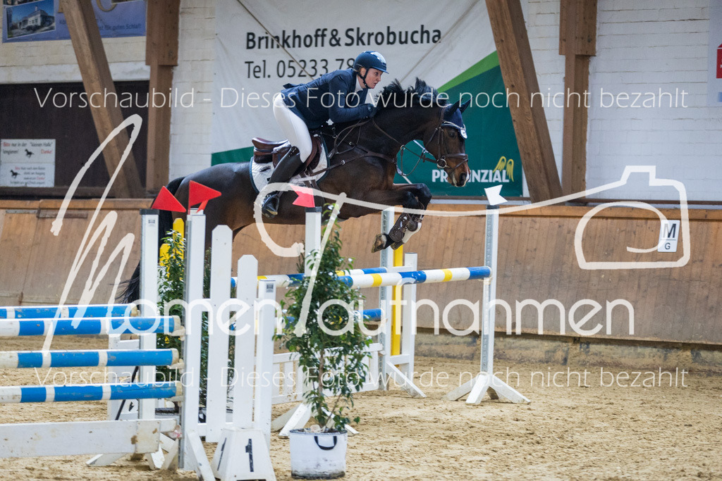 Sth-LPO25-L-Spr-016 | MomenTaufnahmen Pferdesportfotos