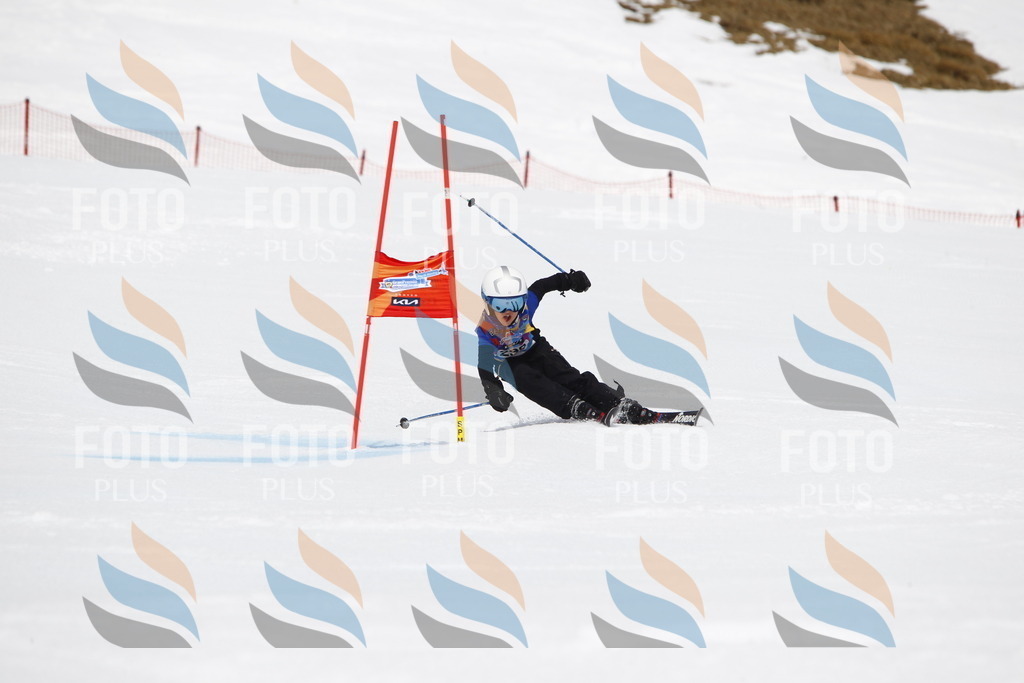 _U3G7420 | holidayphoto