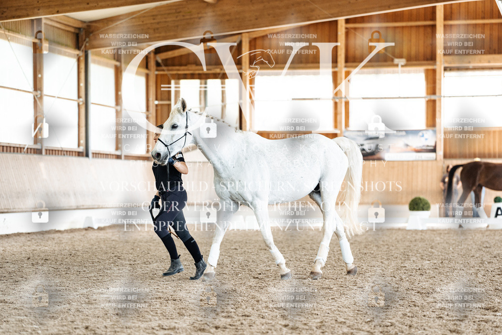 CK908166 | Turnierfotografie Pferdefotografie Trier Rheinland-Pfalz Pferdesport Reitsport Tierfotografie Sportfotografie Pferdevideo Pferdevideografie Equestrianvideography equestrianphotography  - Realisiert mit Pictrs.com