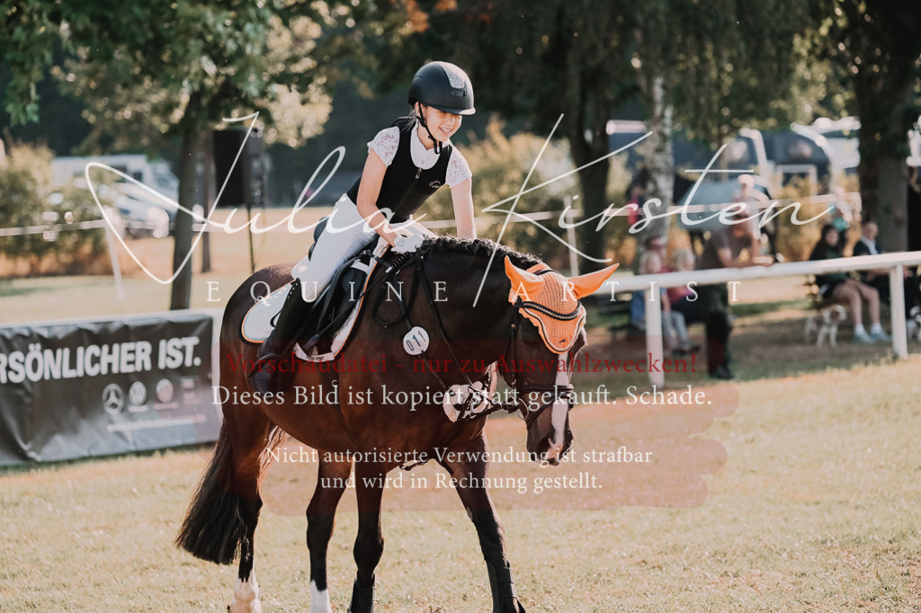 DSC_4478 | Pferde- und Turnierfotografie in Westsachsen. Pferdeportraits, Auftragszeichnungen und intuitive Kunst.