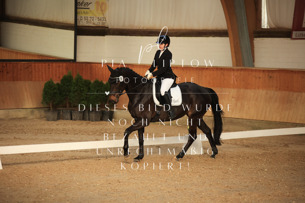 IMGT3727 | pl-fotografie