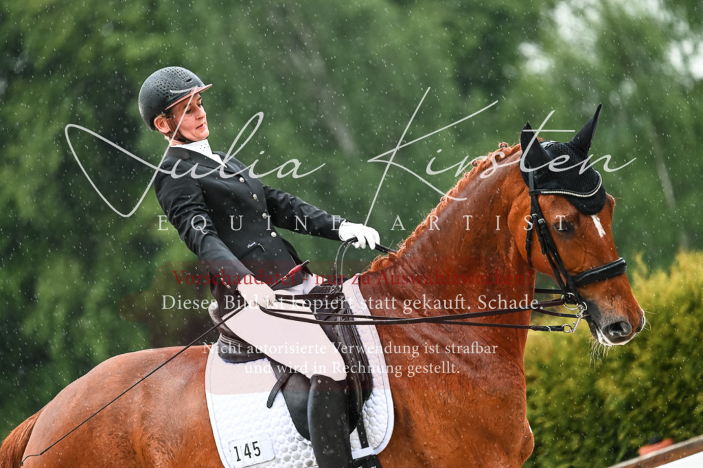 DSC_4448 | Pferde- und Turnierfotografie in Westsachsen. Pferdeportraits, Auftragszeichnungen und intuitive Kunst.