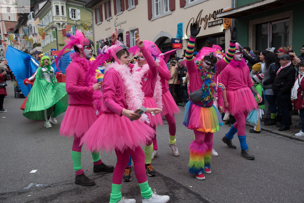 FastSonn_23-187 | Fotoblog Schwarzwald, Foto Blog Wiesental, Pfaffenberg, Winterzauber, Zeller Bergland, Zell im Wiesental, Fotoblog Wiesental, Landschaftsfotos, Bilder Wiesental, Natur, Naturbilder, Fastnacht, Zeller Fastnacht, Zeller Fasnacht, Zeller Bergland, Belchen, - Realisiert mit Pictrs.com