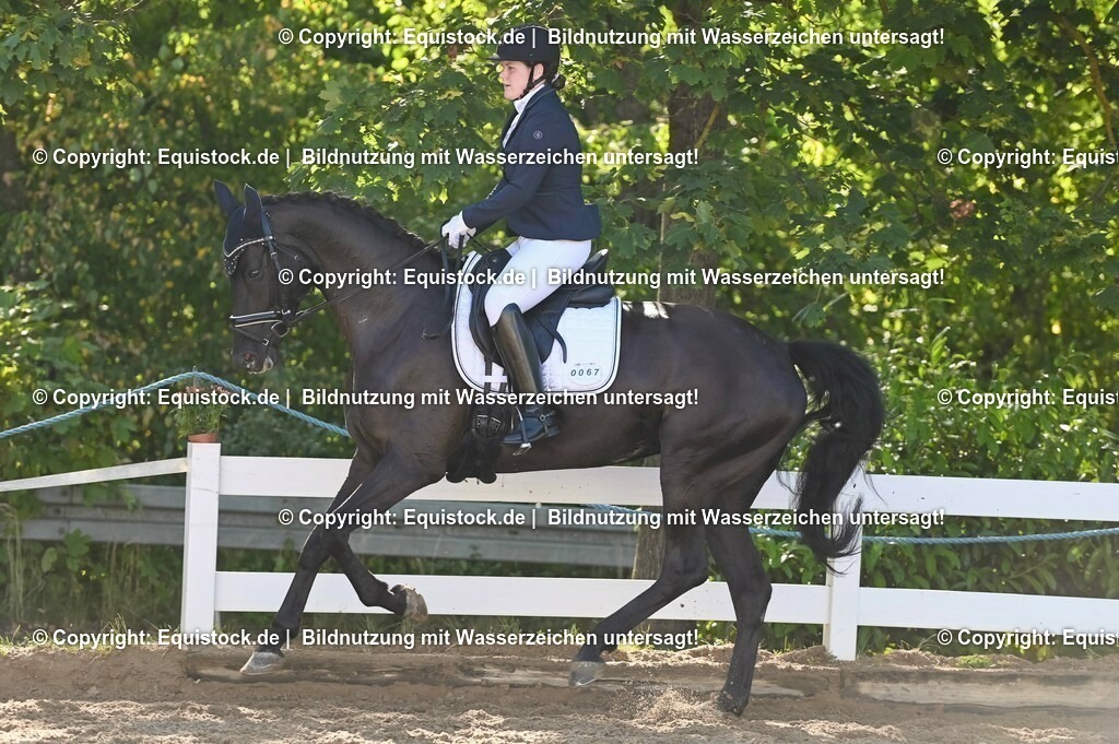 20230715_06_Dressurpferdeprfg. Kl.A_0187 | equistock