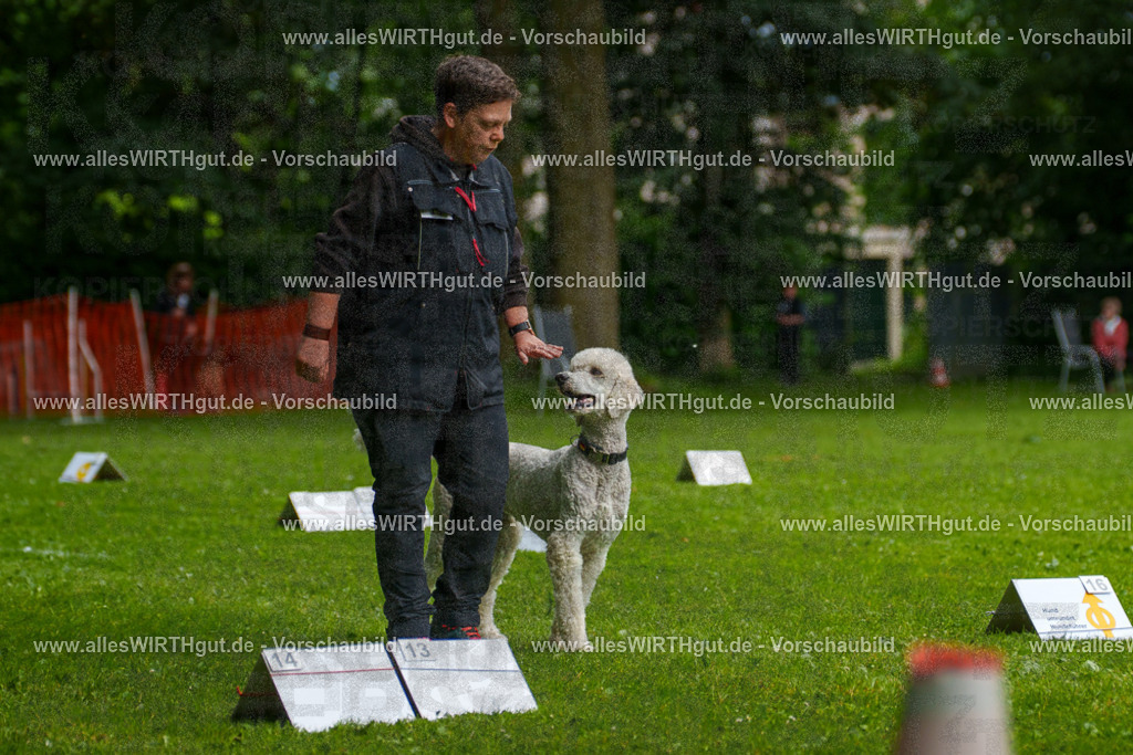 @allesWIRTHgut_Tierfotografie - www.allesWIRTHgut.de - 7R503598 | Professionelle Tierfotografie in Mönchengladbach von Daniel Wirth (allesWIRTHgut). Liebevolle & natürliche Bilder von Hunden & Katzen für unvergessliche Erinnerungen.