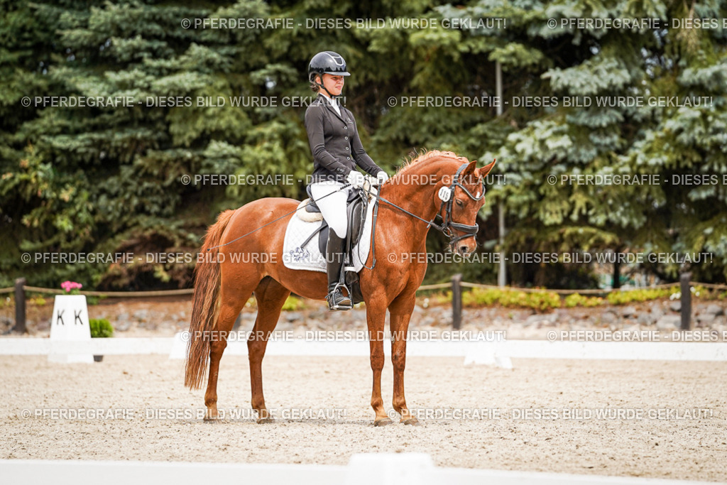 DSC04310 | Pferdegrafie