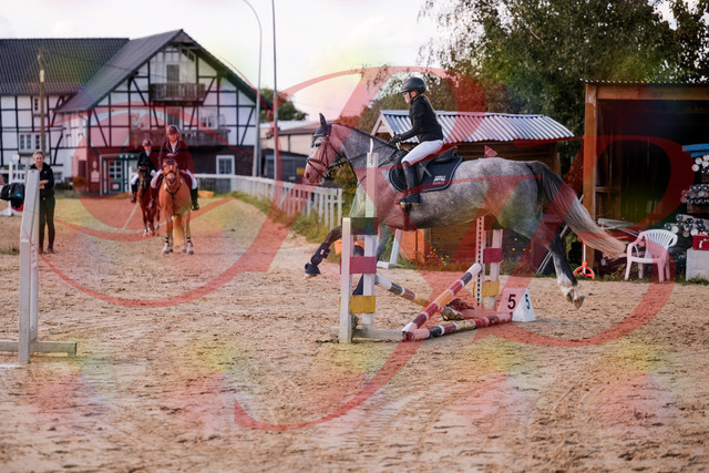 2026_10_03_Siefer-Hof_145129_Z81_30405117 | Professionelle Reitsport-, Turnier- und Eventfotografie von Robert Broda. Galerien mit ausgewählten und bearbeiteten Bildern direkt online ansehen und bestellen.