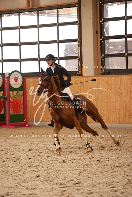 1J2A4452Lilli Plath_ Butler of Picobello Z_ Kn039_ Hohen Wieschendorf_ Glantz | Foto- und Videografie für alles rund ums Pferd. Hochwertige Bilder und Videos vom Spring- und Dressurreiten, Voltigieren & mehr. Jetzt aktuelle Veranstaltungen und Preise im Shop ansehen. - Realisiert mit Pictrs.com