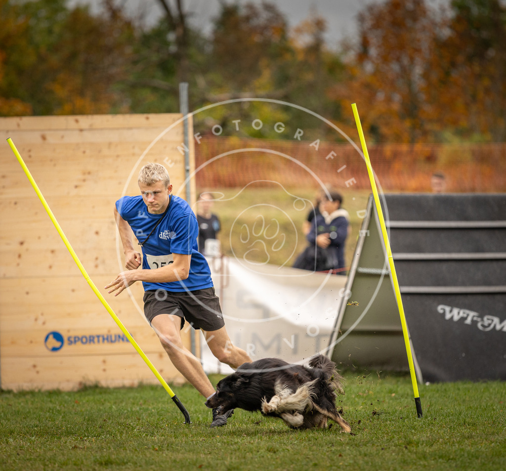 Pfotenfotografie_DV3A6144 | Hundefotografie, Tierfotograf, Pfotenfotografie, Fotoshooting Hund, Hunde Portrait, Hundesport, Hundeportraits, Heideshooting, Hunde, Sportfotograf, Hundefotograf, Turnierhundsport, THS,  - Realisiert mit Pictrs.com