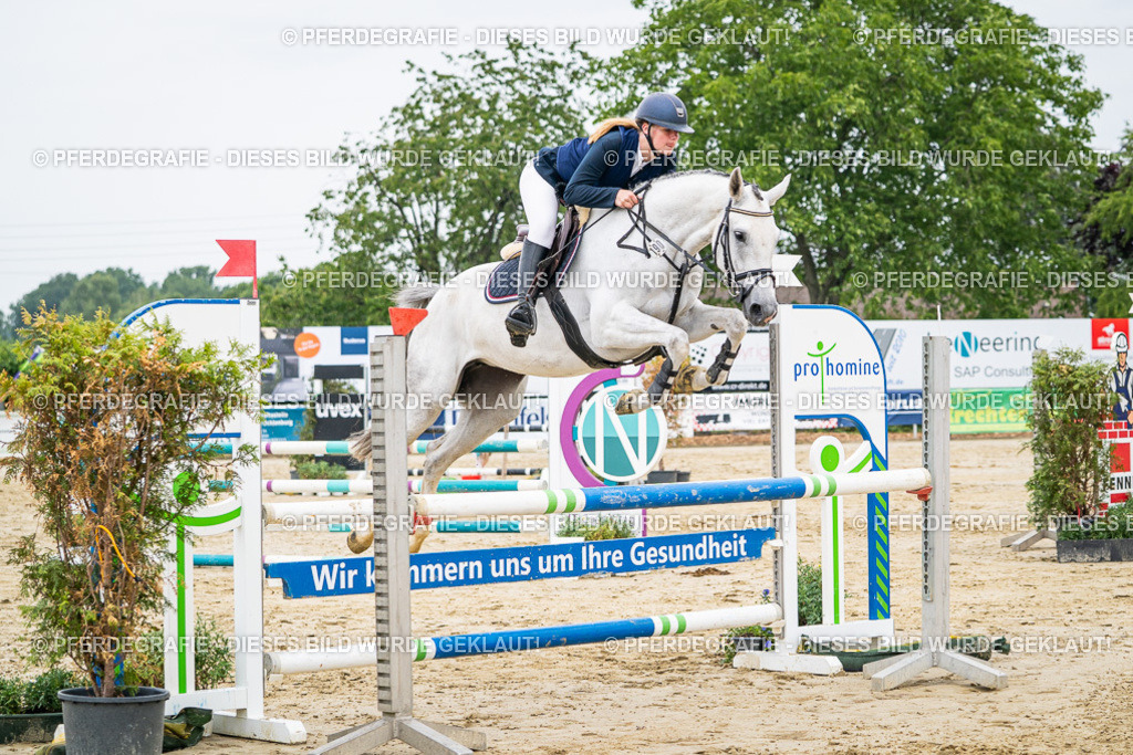 DSC09736 | Pferdegrafie