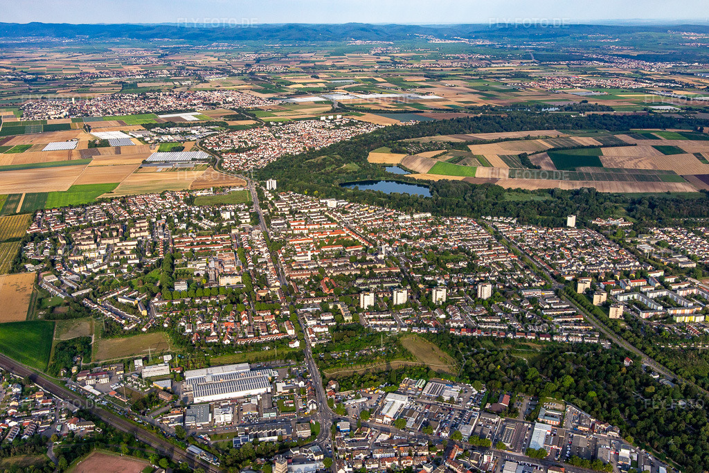 Luftbild: Ortsansicht von Osten im Ortsteil Gartenstadt in Ludwigshafen im Bundesland Rheinland-Pfalz in Deutschland. Foto: IMG_142811.jpg vom 19.07.2024 durch Werner Riehm/FLY-FOTO.de