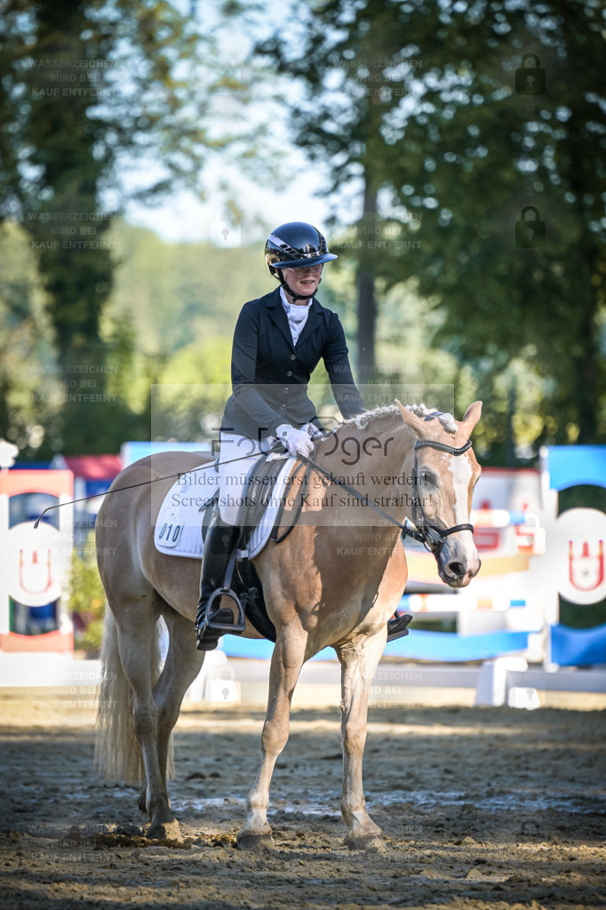 DOS_4753 | Entdecke hochwertige Reitturnierfotos von Foto Oger. Professionell, emotional und authentisch – jetzt Lieblingsmomente im Shop bestellen. - Realisiert mit Pictrs.com