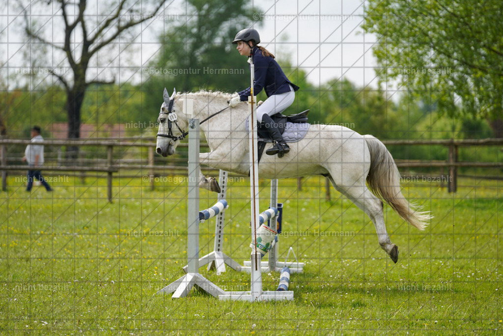20230520-FAH04986 | Frühjahrsturnier, Landsberg am Lech, 2023, Reitclub Landsberg, Turnierbilder, Fotos Turnier Landsberg, Fotoagentur Herrmann, Turnierfotografen Bayern, Reitsport Fotograf, Pferde Fotograf