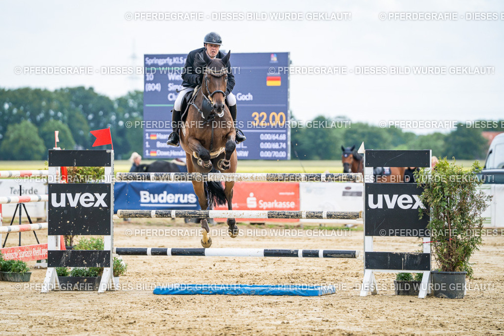 DSC06893 | Pferdegrafie