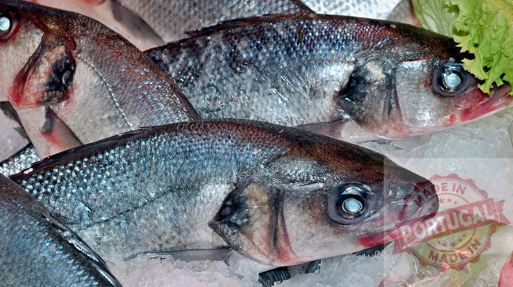 Fresh sea bass fish on ice market stall | Fresh sea bass fish lying on crushed ice at a seafood market stall - Realisiert mit Pictrs.com