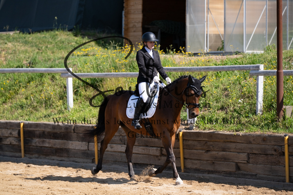 A7V07825 | Turnier/Reitfotograf