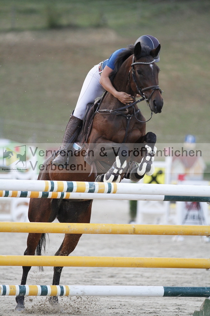 _MG_6671 | equestrian-live-com