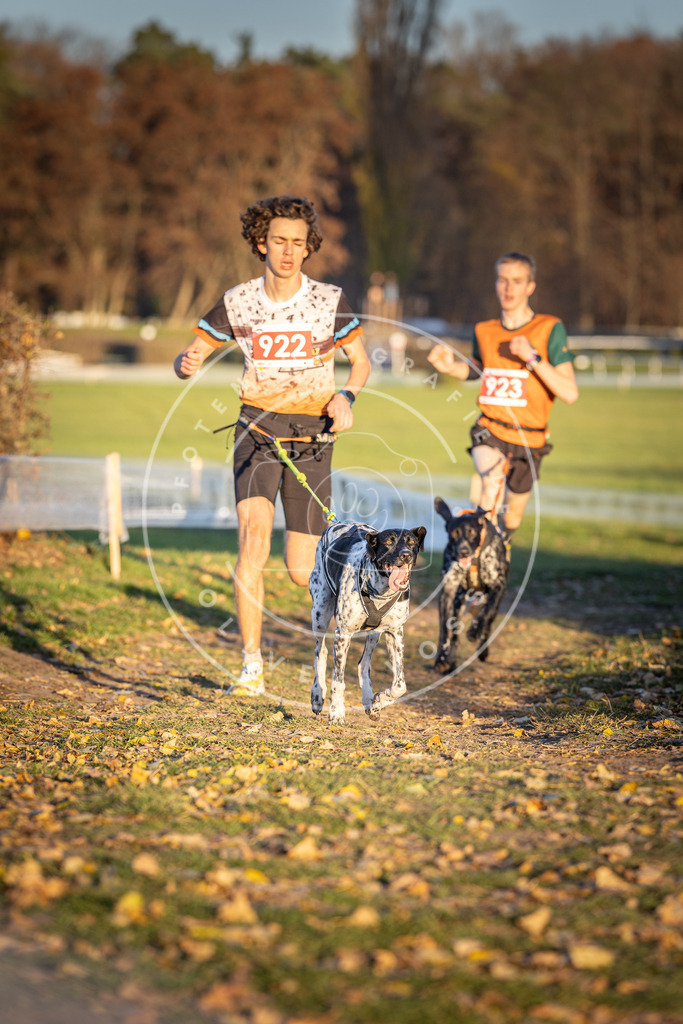 CaniXpix_DV3A4956 | Hundefotografie, Tierfotograf, Pfotenfotografie, Fotoshooting Hund, Hunde Portrait, Hundesport, Hundeportraits, Heideshooting, Hunde, Sportfotograf, Hundefotograf, Turnierhundsport, THS,  - Realisiert mit Pictrs.com