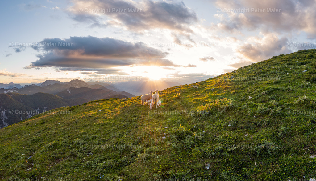 Poludnig_Karnische_Milchstrasse_2020-7 | piet_flosse