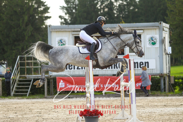 DKP43675 | Turniersportfotografie; Pferdefotografie; Dressurfotografie