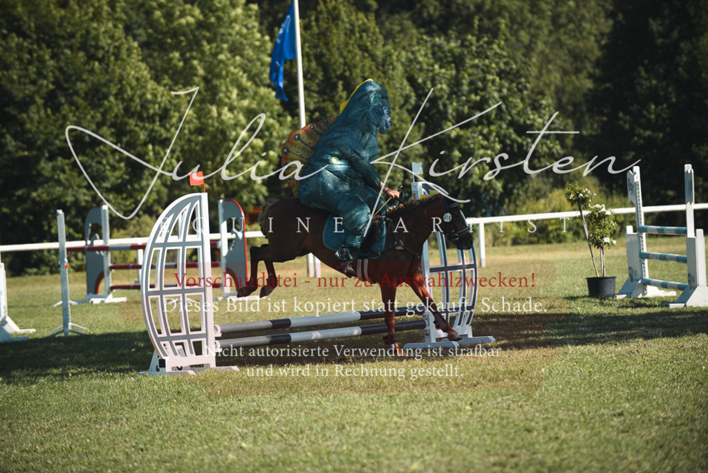 DSC_7649 | Pferde- und Turnierfotografie in Westsachsen. Pferdeportraits, Auftragszeichnungen und intuitive Kunst.