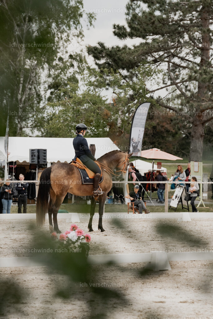 WE_DR_Stoib_329_PI2025_849 | Pferd International München 2025