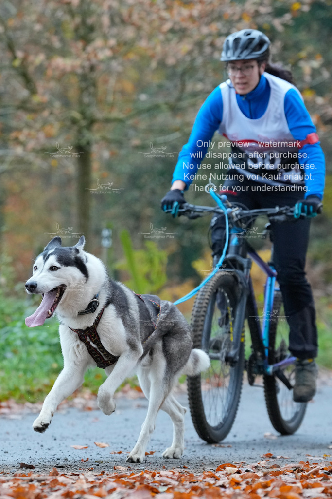 AusschnitteSo-44 | stephaniefillaphotographie - Realisiert mit Pictrs.com