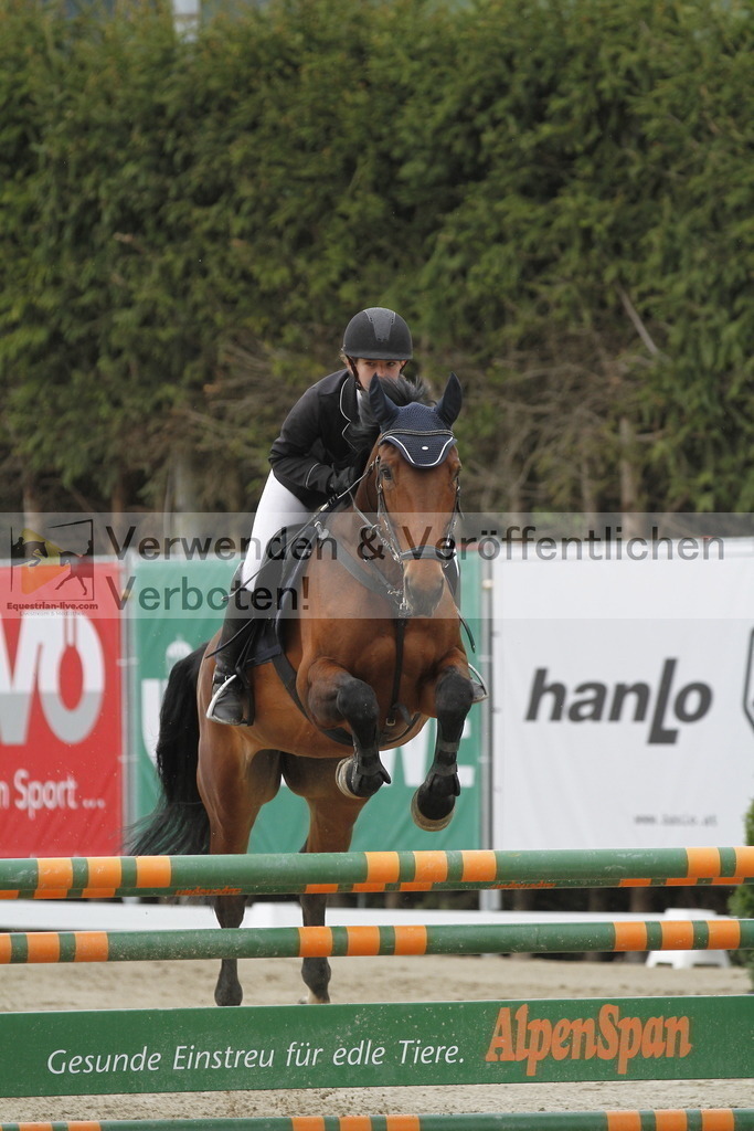 _MG_2933 | equestrian-live-com