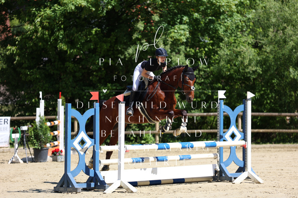 IMGS7290 | pl-fotografie