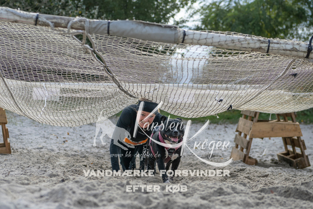 1154_ZZ99437 | kk-dogfotos