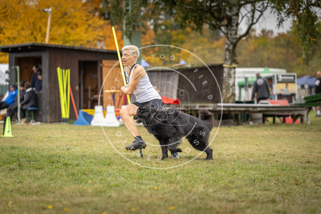 Pfotenfotografie_DV3A6286 | Hundefotografie, Tierfotograf, Pfotenfotografie, Fotoshooting Hund, Hunde Portrait, Hundesport, Hundeportraits, Heideshooting, Hunde, Sportfotograf, Hundefotograf, Turnierhundsport, THS,  - Realisiert mit Pictrs.com
