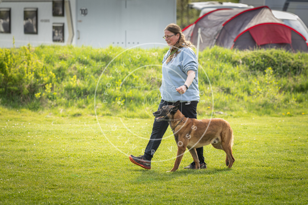 Pfotenfotografie_DV3A4965 | Hundefotografie, Tierfotograf, Pfotenfotografie, Fotoshooting Hund, Hunde Portrait, Hundesport, Hundeportraits, Heideshooting, Hunde, Sportfotograf, Hundefotograf, Turnierhundsport, THS,  - Realisiert mit Pictrs.com