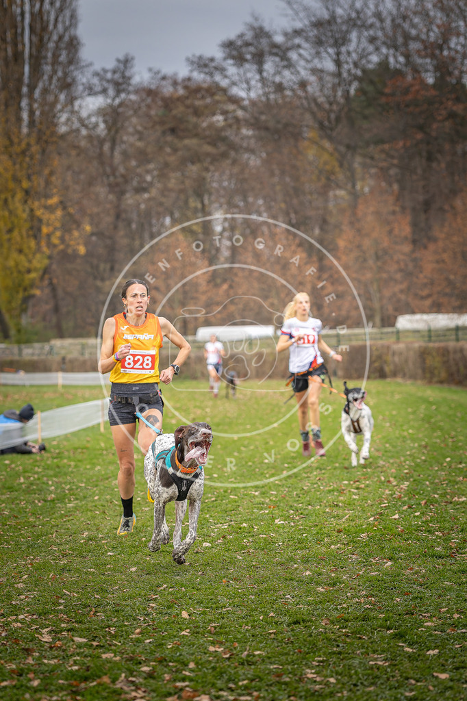 CaniXpix_DV3A6253 | Hundefotografie, Tierfotograf, Pfotenfotografie, Fotoshooting Hund, Hunde Portrait, Hundesport, Hundeportraits, Heideshooting, Hunde, Sportfotograf, Hundefotograf, Turnierhundsport, THS,  - Realisiert mit Pictrs.com